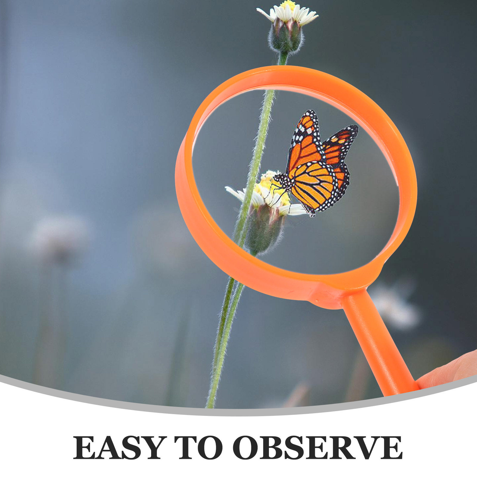 1Set Insect Observation Case O - Science Toys のレビューと価格