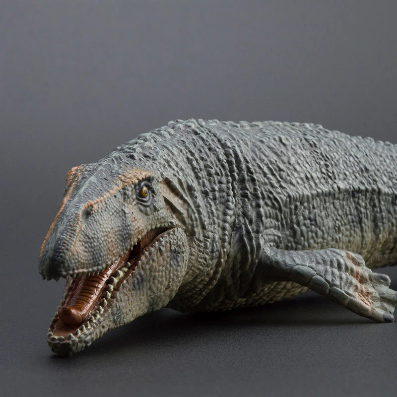 PROG Large Simulated Prognatho - Science Toys のレビューと価格