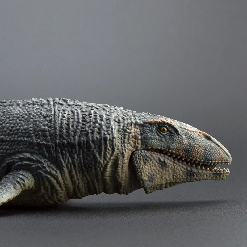 PROG Large Simulated Prognatho - Science Toys のレビューと価格