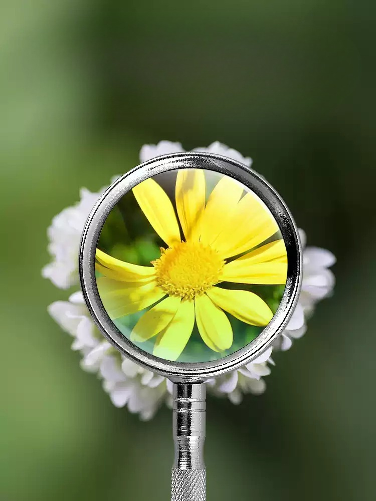 10X 20X Handheld Magnifying Gl - Science And Hobby のレビューと価格