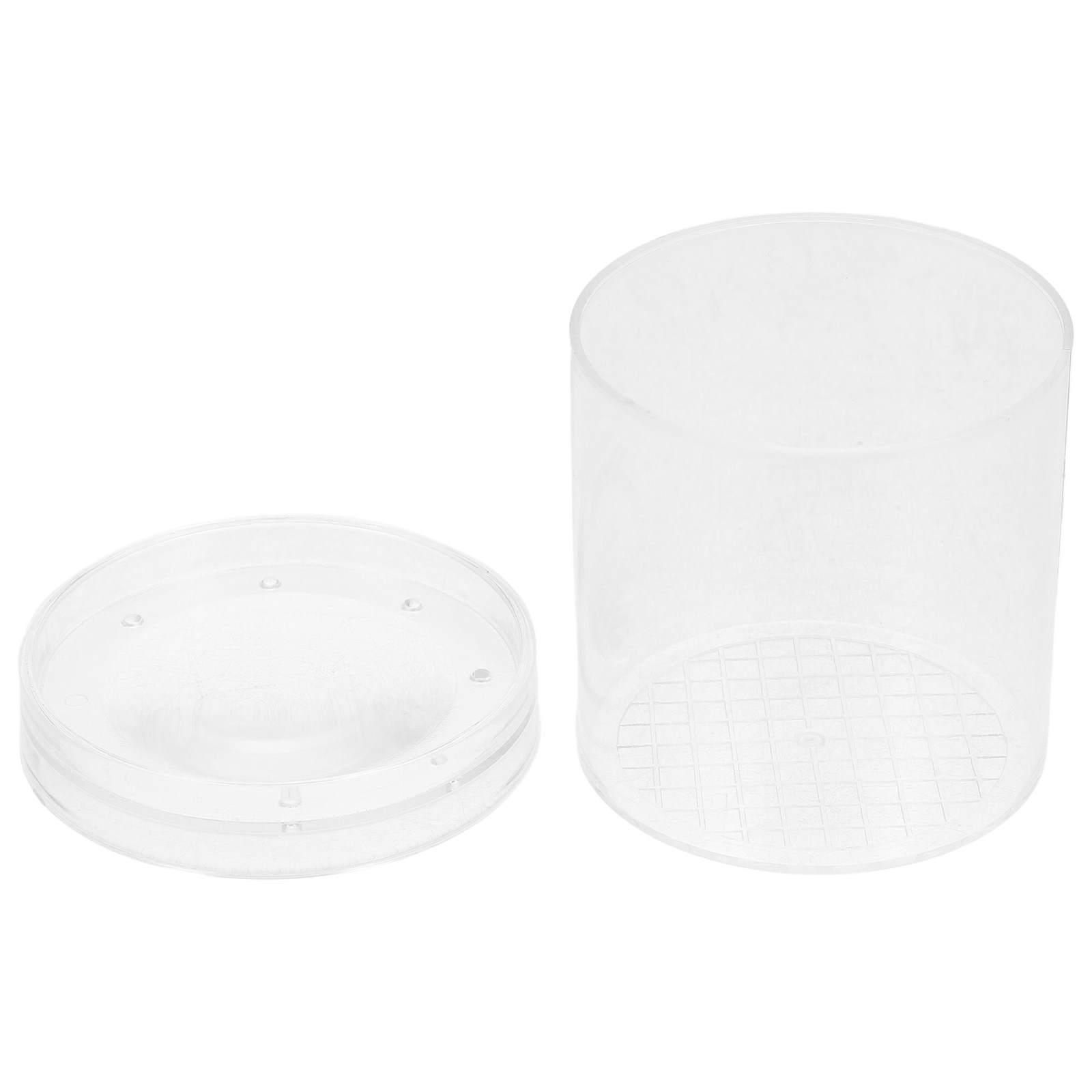 3X Magnifying Insect Observati - Science Toys のレビューと価格