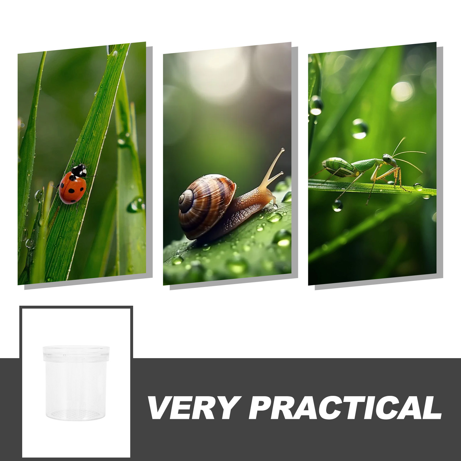 3X Magnifying Insect Observati - Science Toys のレビューと価格