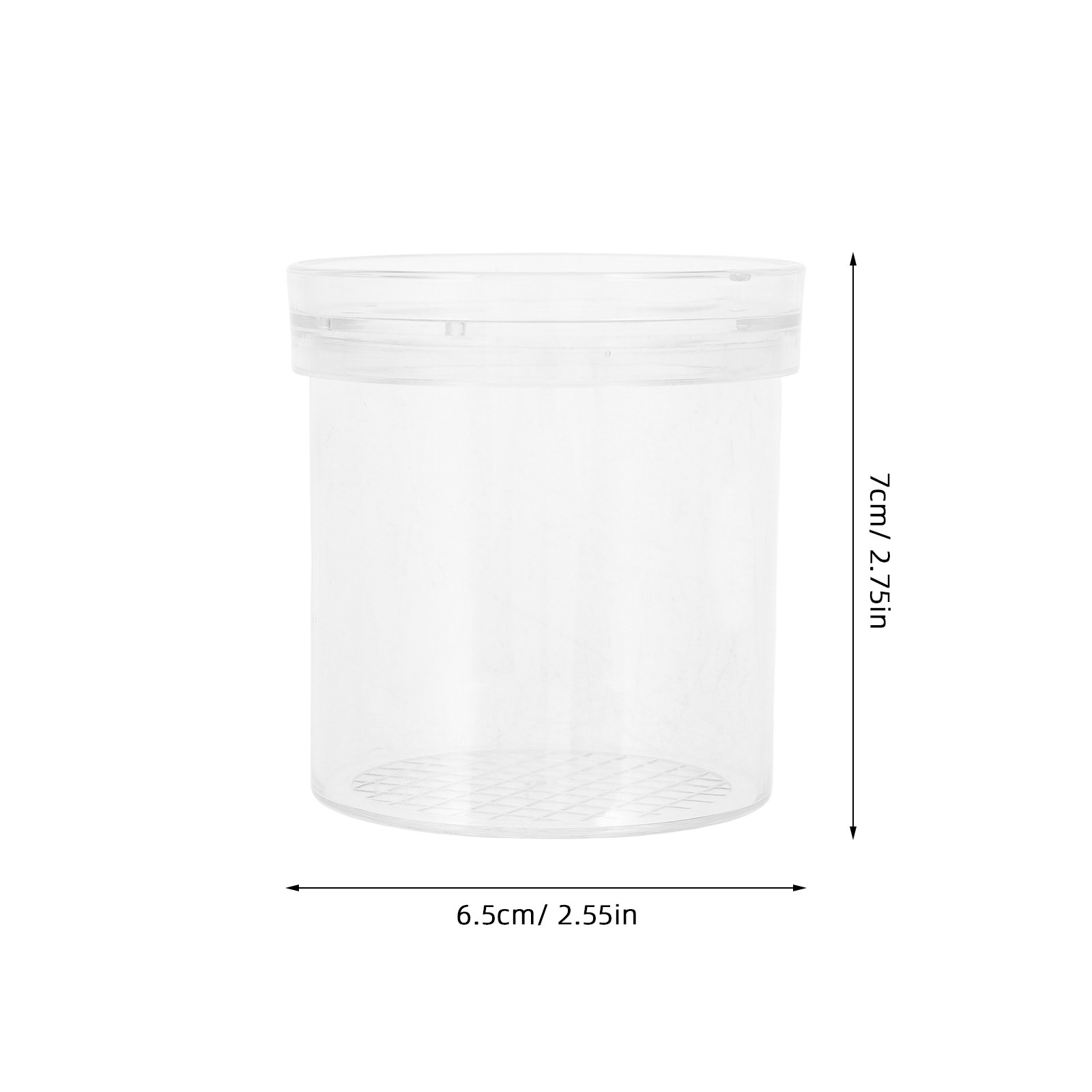 3X Magnifying Insect Observati - Science Toys のレビューと価格