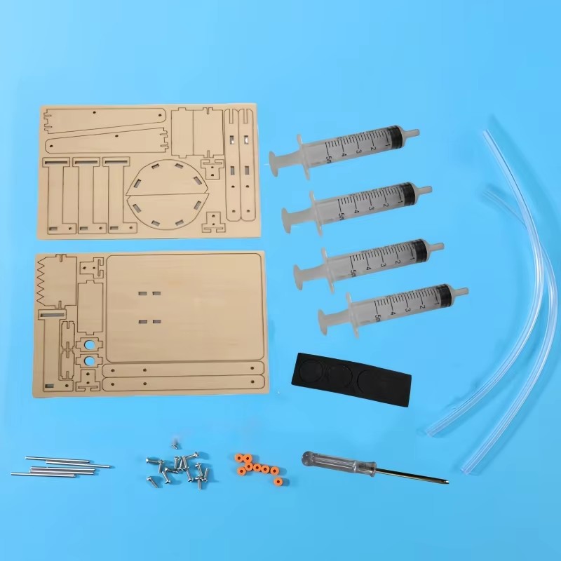 Fun STEM DIY Science Kit Woode - Science And Hobby のレビューと価格