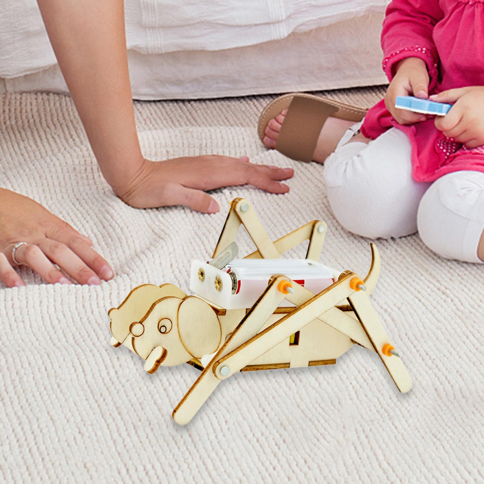 DIY Wooden Model Set Science K - Science Project Toys Making のレビューと価格
