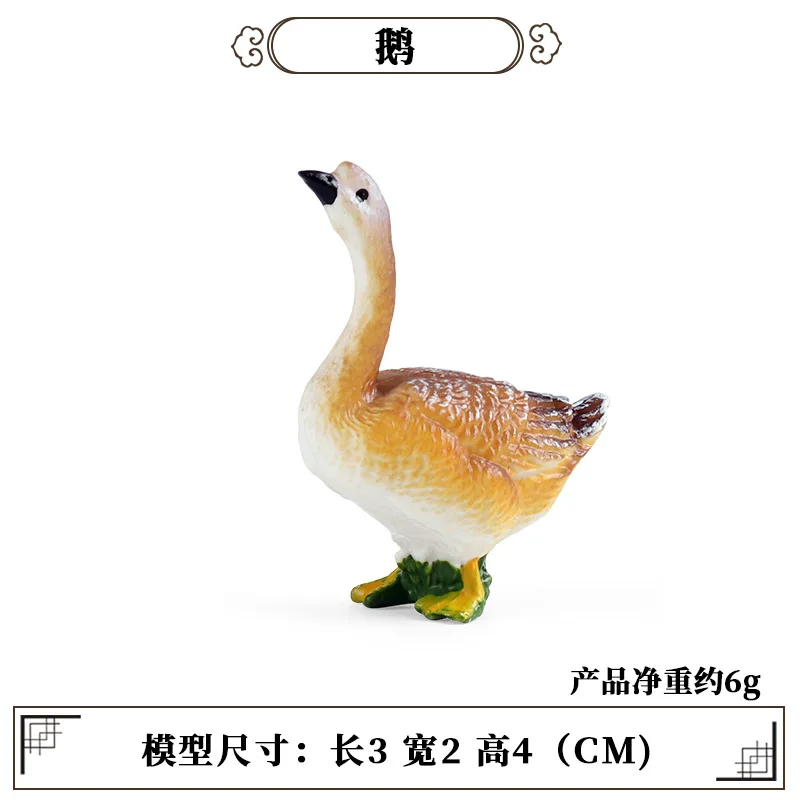 Education Teaching Tool Poultr - Science Toys のレビューと価格