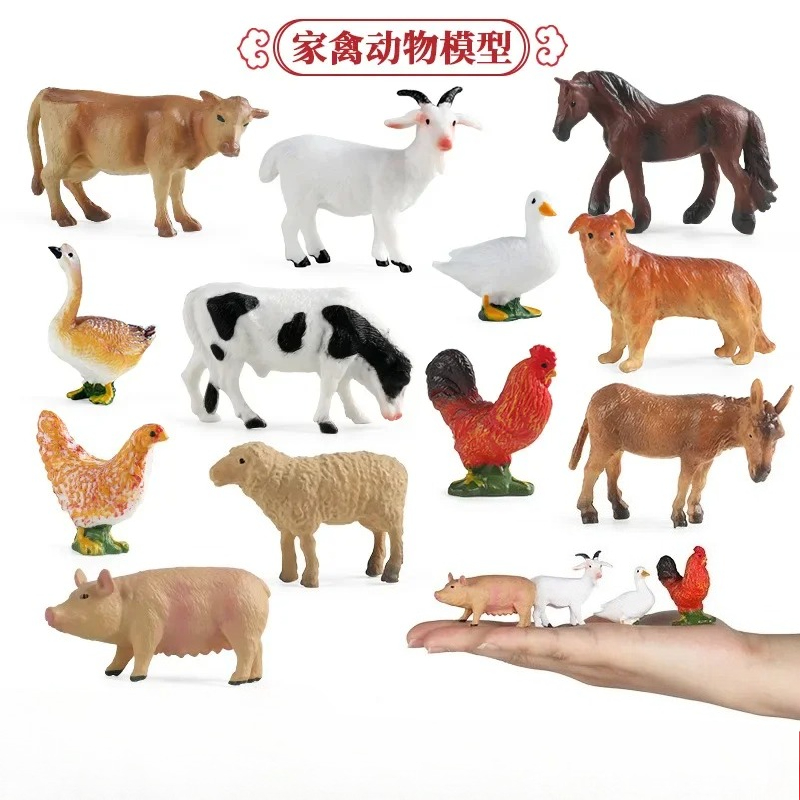 Education Teaching Tool Poultr - Science Toys のレビューと価格