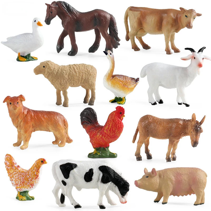 Education Teaching Tool Poultr - Science Toys のレビューと価格