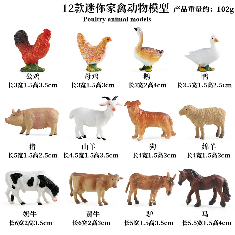 Education Teaching Tool Poultr - Science Toys のレビューと価格